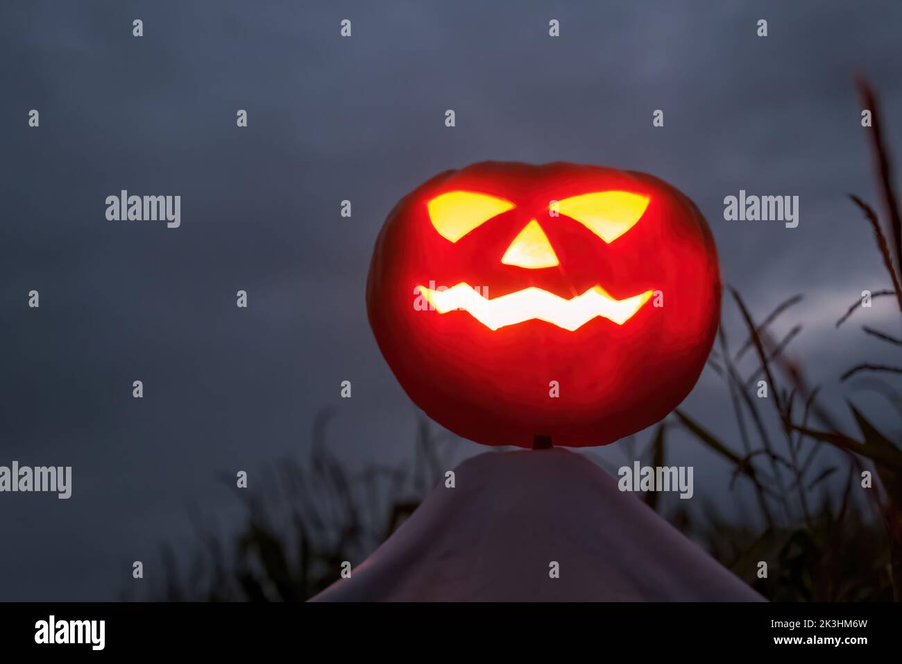 halloween Kürbis Vogelscheuche in einem breiten Maisfeld in einer gruseligen dunklen Nacht. Stockfoto