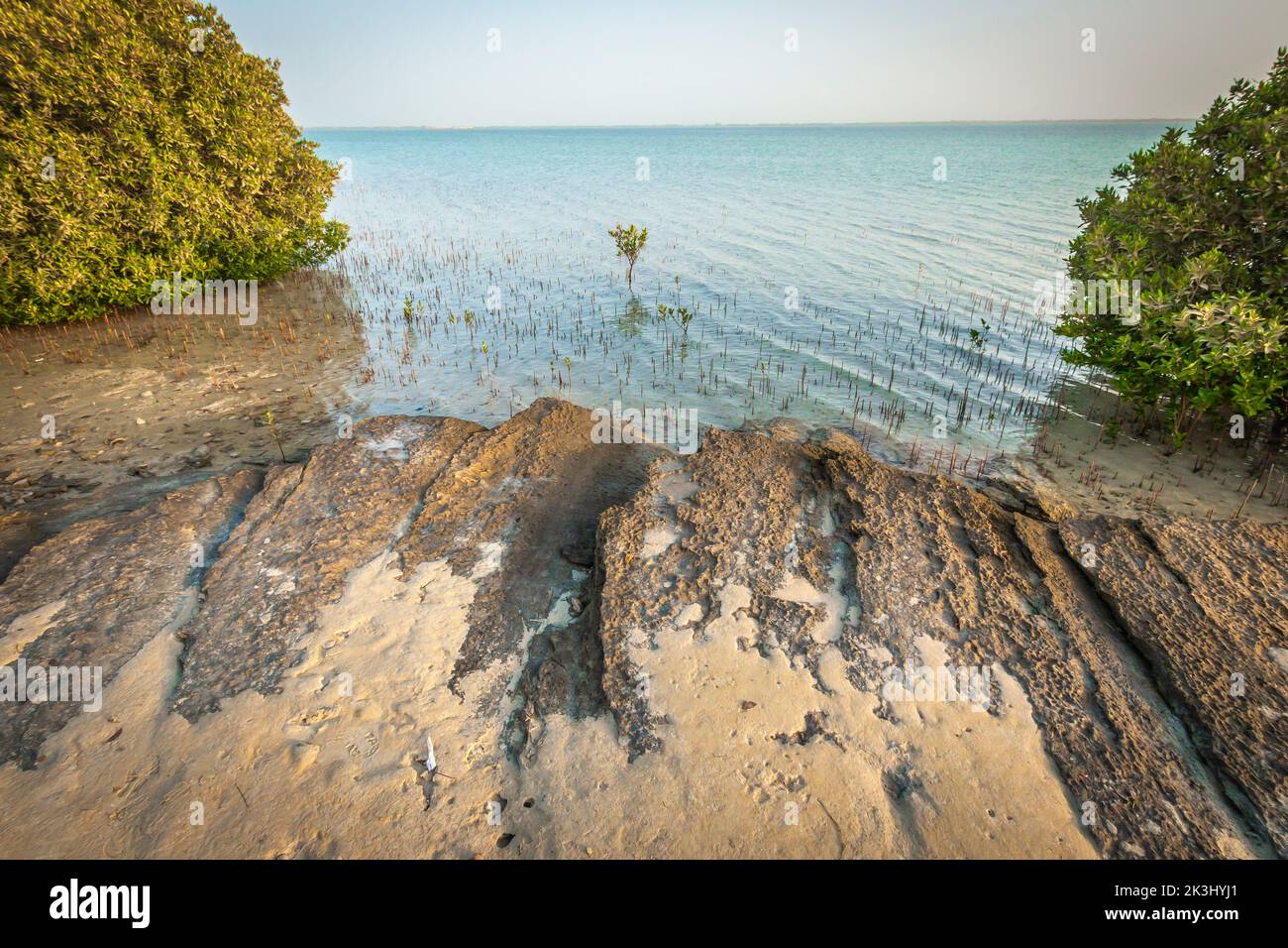 Wunderschöne goldene Stunde von Umm Al Quwain Sümpfen, VAE Stockfoto