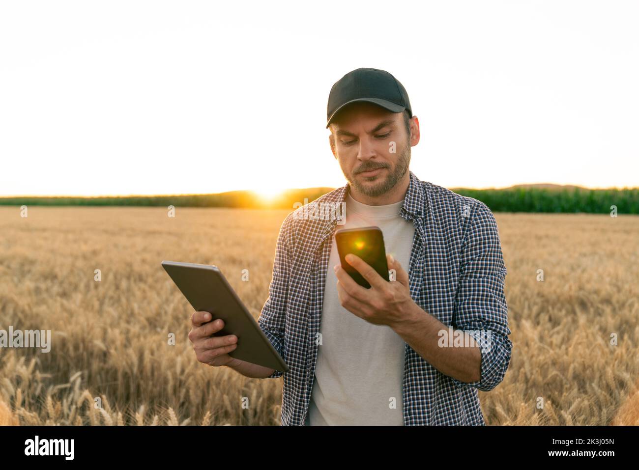 Bärtiger Bauer mit Handy und digitalem Tablet auf landwirtschaftlichem Feld bei Sonnenuntergang Stockfoto