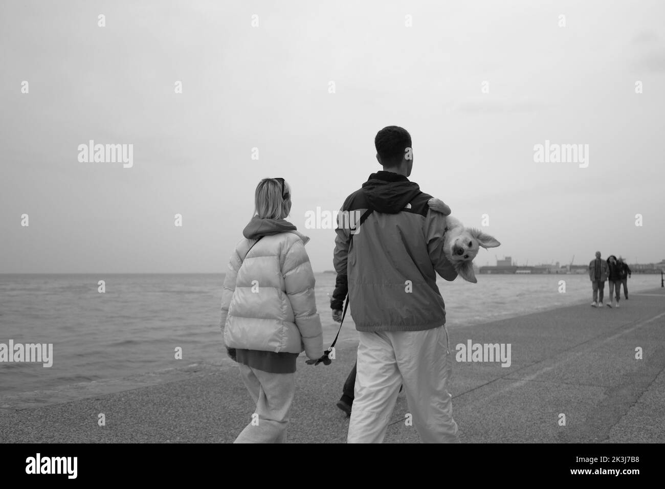 Eine Graustufe einer Rückansicht eines Paares, der den Hund umarmt und im Hafen läuft Stockfoto