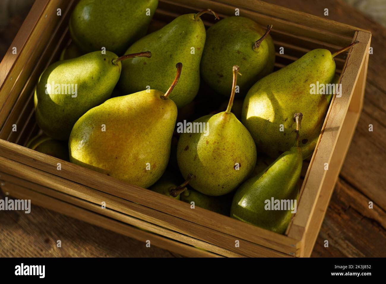 Birnen auf einem hölzernen Hintergrund. Obsternte. Stillleben im Herbst. Pear Variety Bera Konferenz. Stockfoto