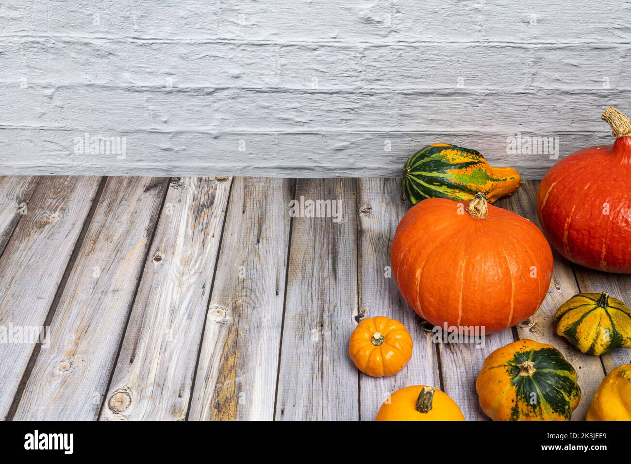 Dekorative Zierkürbisse und Hokkaido-Kürbisse auf einer alten Tischplatte. Copyspace Stockfoto