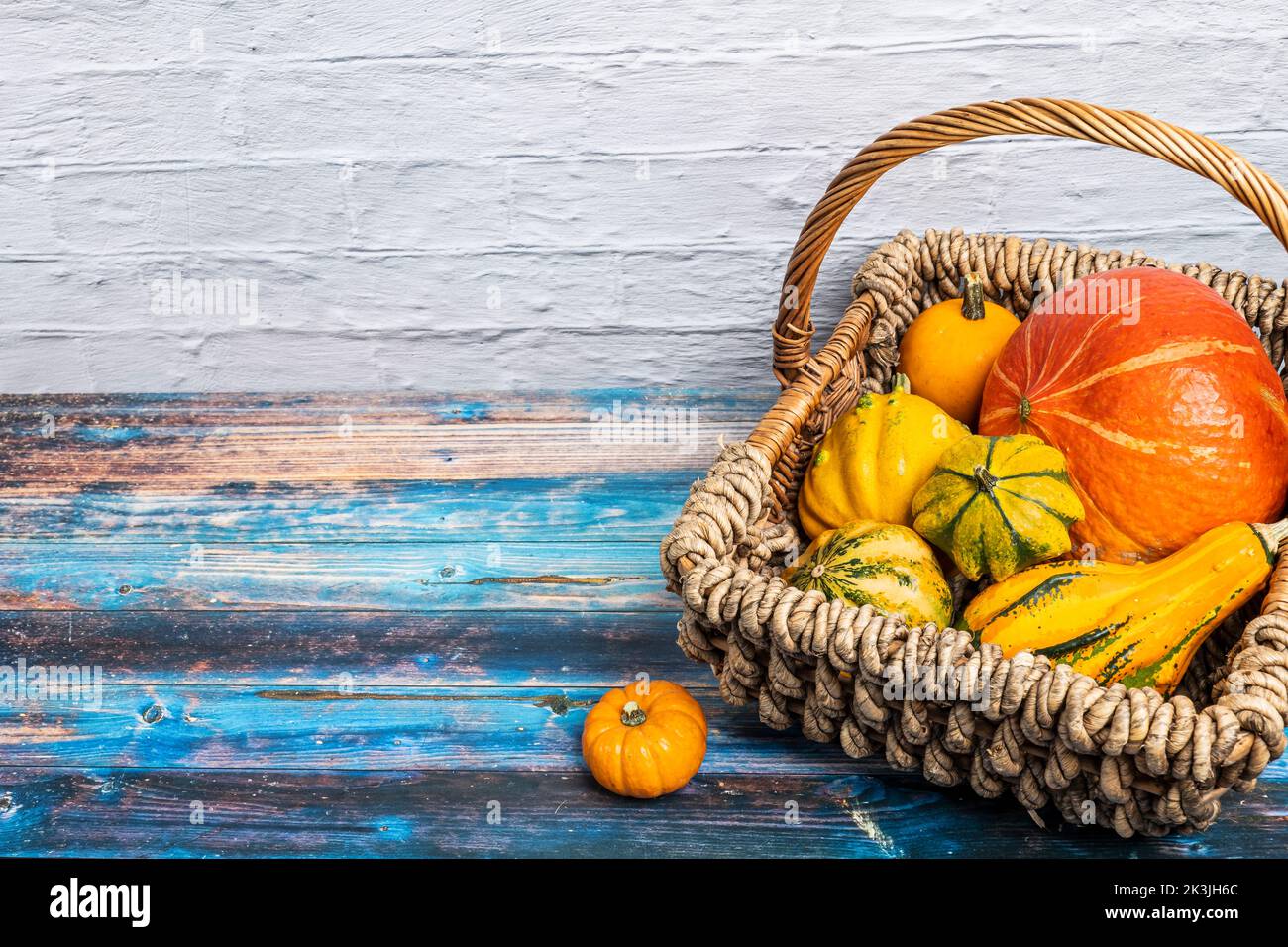 Dekorativer Korb gefüllt mit verschiedenen Zierkürbissen und Hokkaido-Kürbis Stockfoto