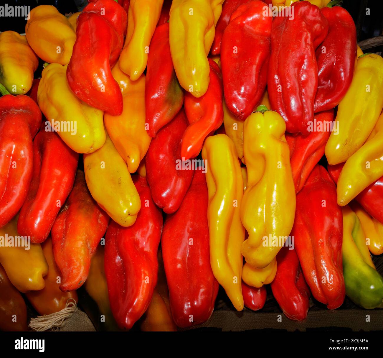 Turin, Italien - 23. September 2022: Rote und gelbe Paprika während der Messe 'Terra Madre - Salone del Gusto' (kostenlose Veranstaltung) ausgestellt. Stockfoto