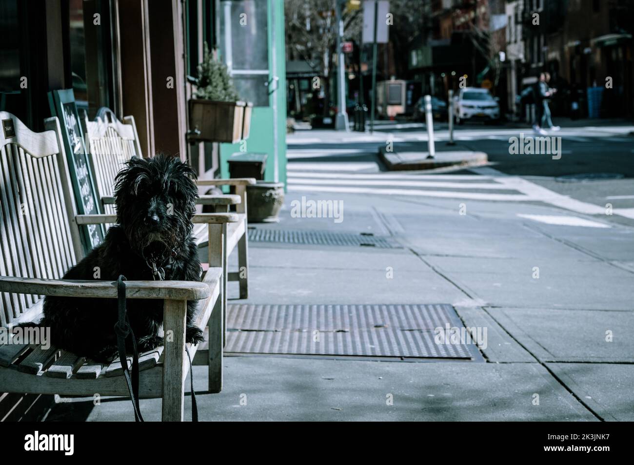 New York Moments Stockfoto