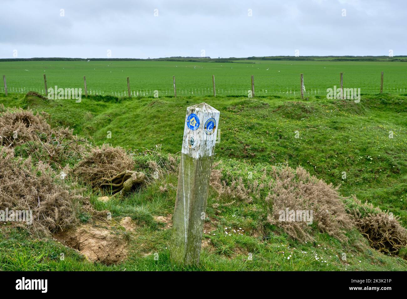 Wegweiser für den Wales Coast Path und den North Wales Pilgrims Way an der Küste der Halbinsel Llyn Stockfoto