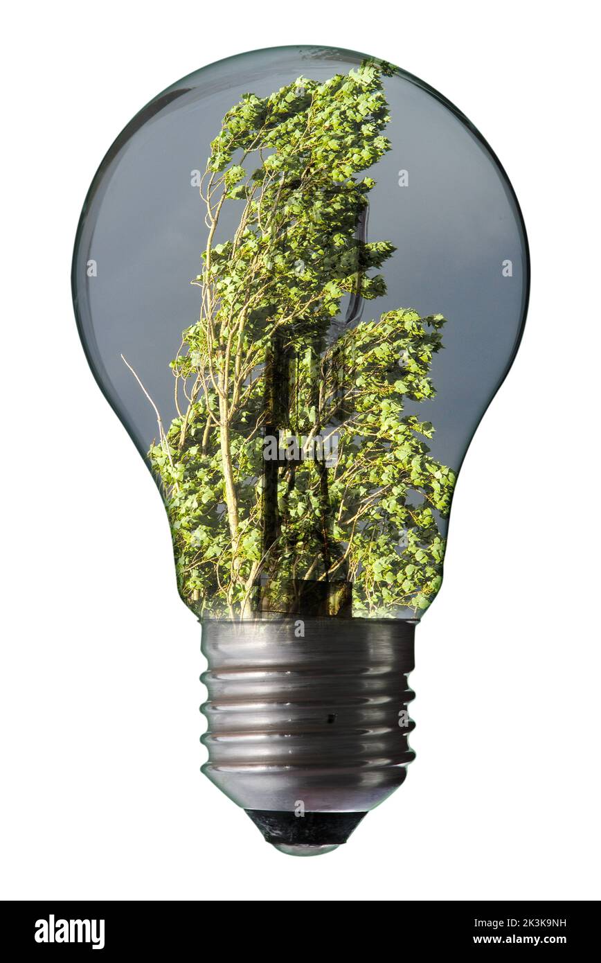Illustration zum Thema Windenergie mit einem Baum und einer Glühbirne in Transparenz Stockfoto