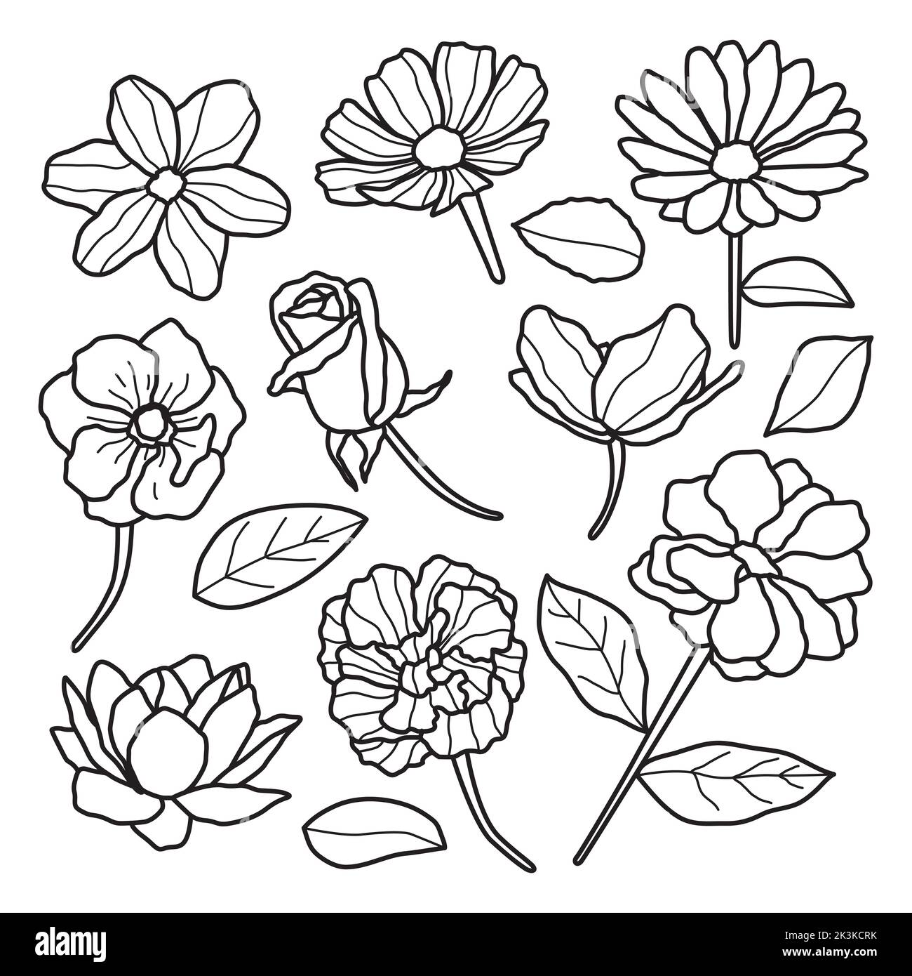 Handgezeichnetes Ästhetisch Realistisches Floral Line Art Style-Set Stock Vektor