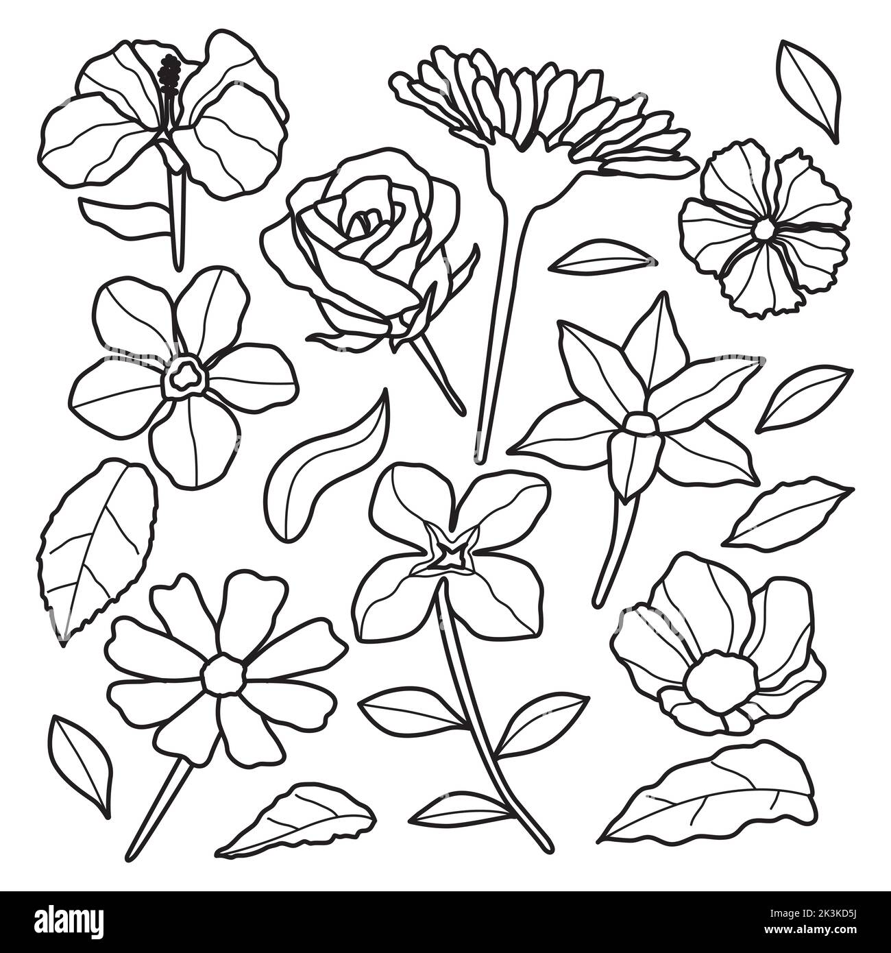 Handgezeichnetes Ästhetisch Realistisches Floral Line Art Style-Set Stock Vektor