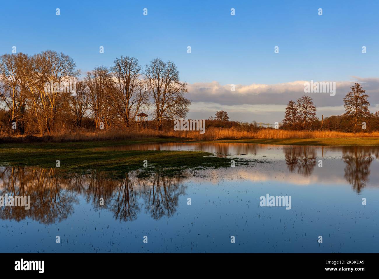 Herbststimmung: Ruhiger See mit Bäumen am Abend Stockfoto