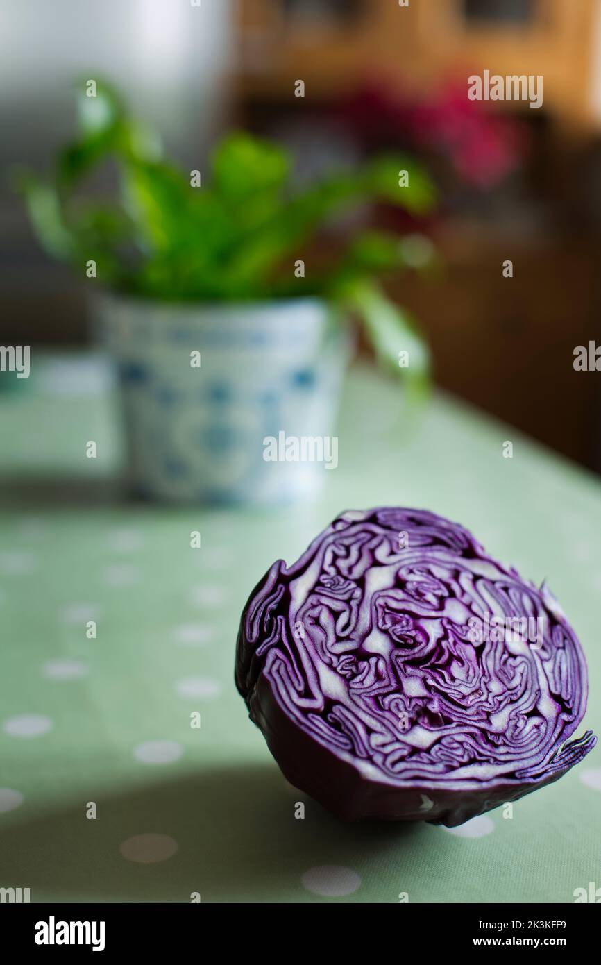 Violette Speisen Stockfoto