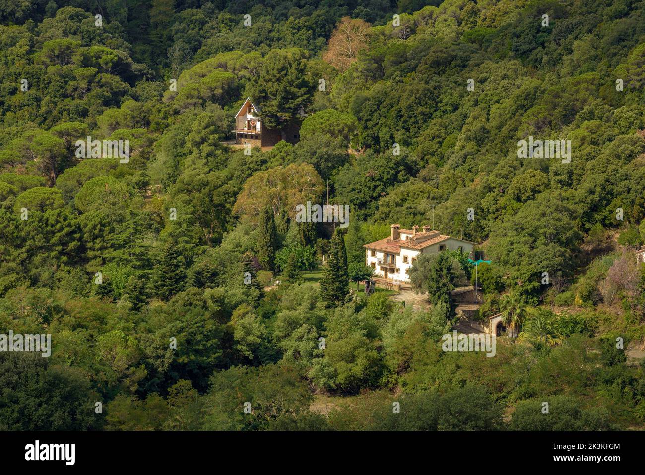 Häuser umgeben vom Montnegre Wald, von Hortsavinyà aus gesehen (Tordera, Maresme, Barcelona, Katalonien, Spanien) ESP: Casas y bosque en el Montnegre Stockfoto