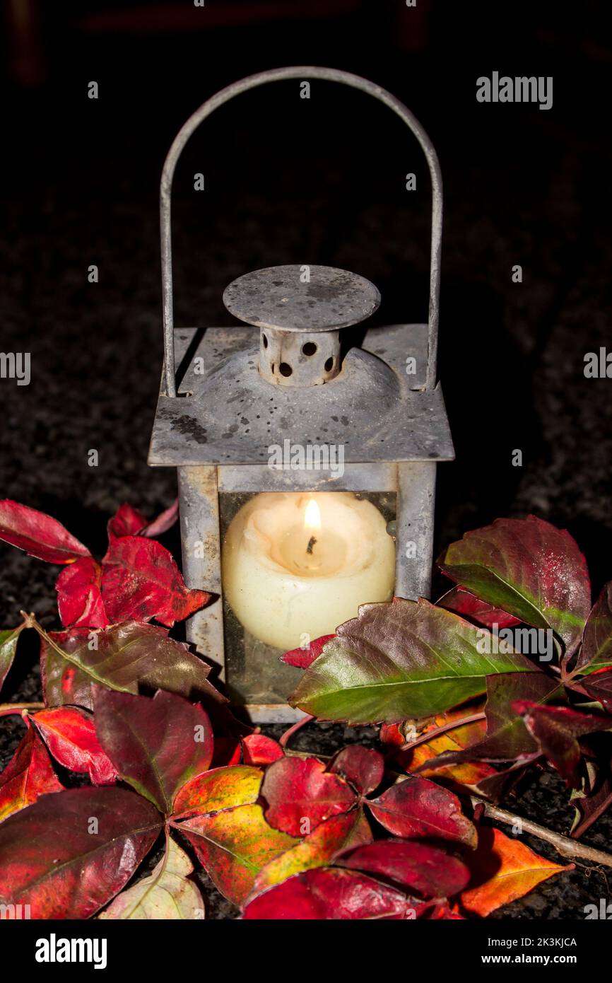 Ein laternenförmiger Kerzenhalter, der von den bunten Herbstblättern eines Virginia-Kriechers umgeben ist. Stockfoto