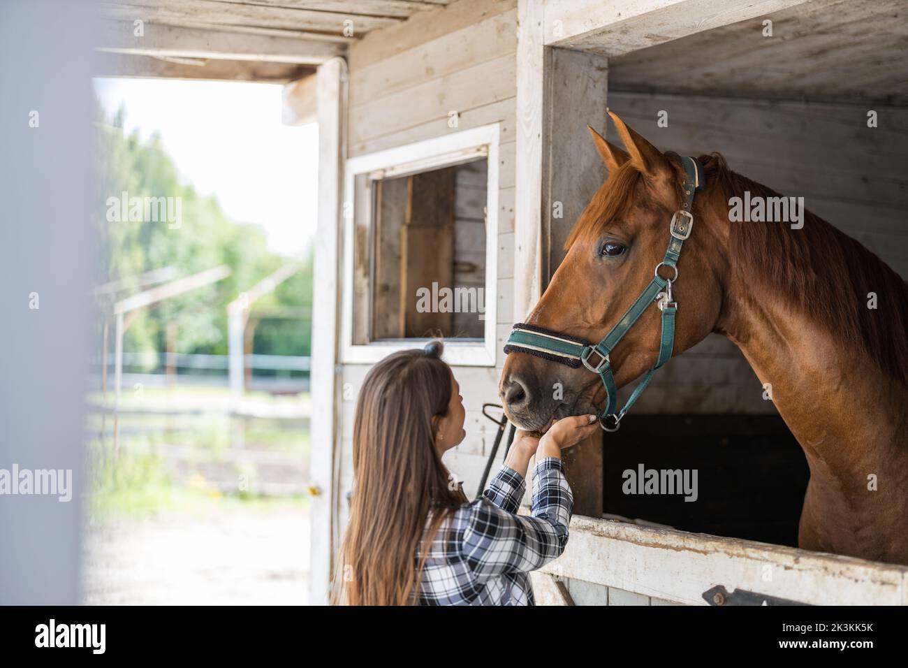 Junge Frau in einem Stall mit ihrem Pferd Stockfoto