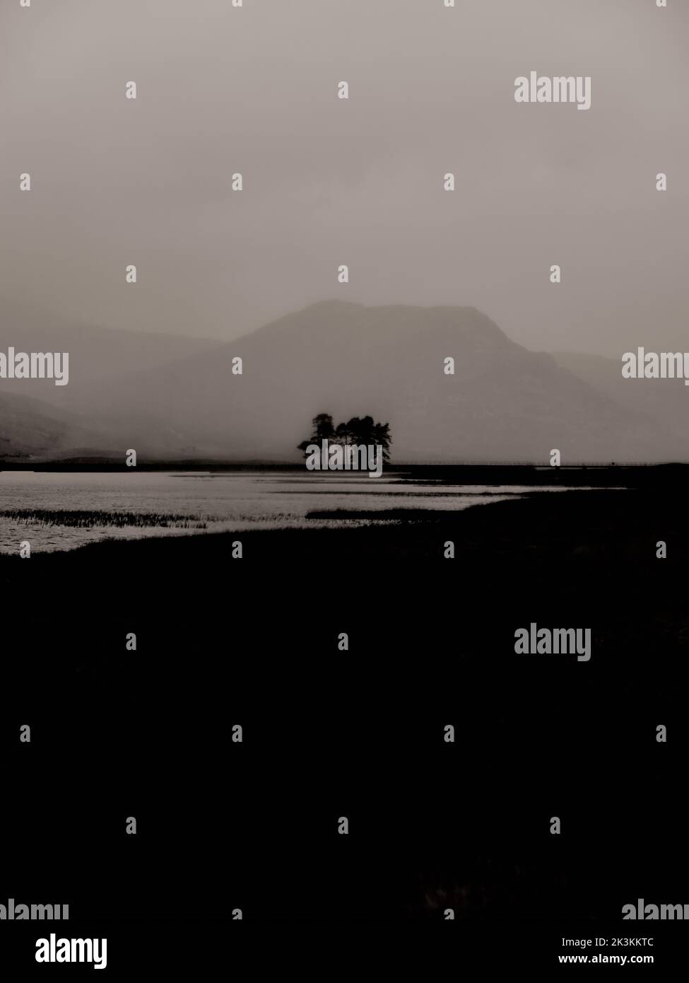 Ein minimalistischer dunkler, geheimnisvoller, verschwommener Baumregen und eine Berglandschaft - s/w-Grafik im lith-Look ein stimmungsvoller Gothic Buchcover-Hintergrund Stockfoto