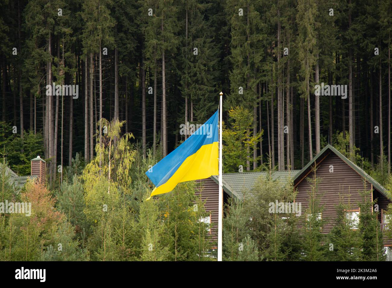 Flagge der Ukraine auf einem Pfeiler in den Karpaten vor dem Hintergrund der Karpaten Wald und Hügel, ukrainische Flagge in der Ukraine Stockfoto