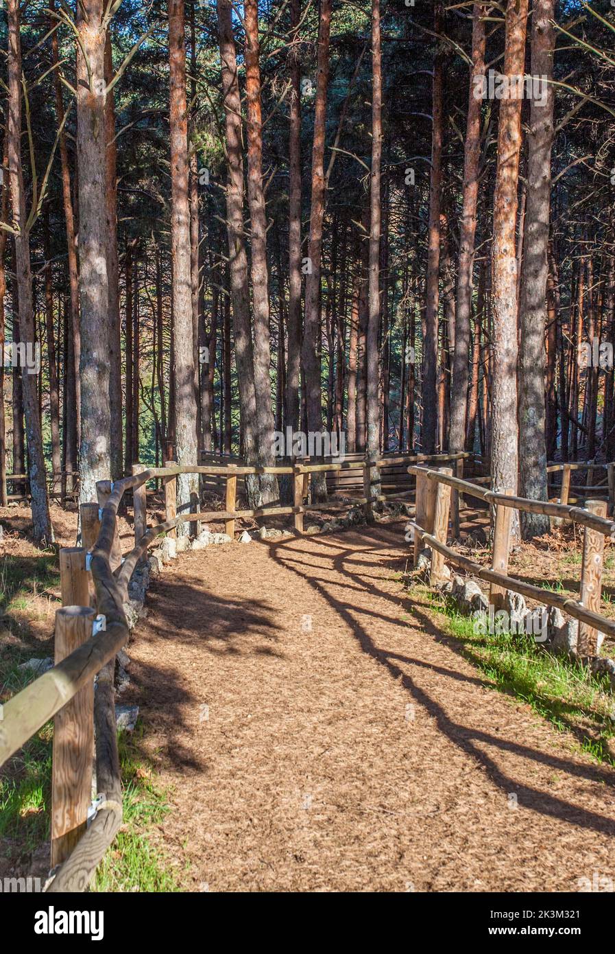 Der Waldgeländer von La Garganta aus Holz. Magischer Ort im Herzen des Ambroz-Tals, Banos de Montemayor, Caceres, Extremadura, Spanien Stockfoto