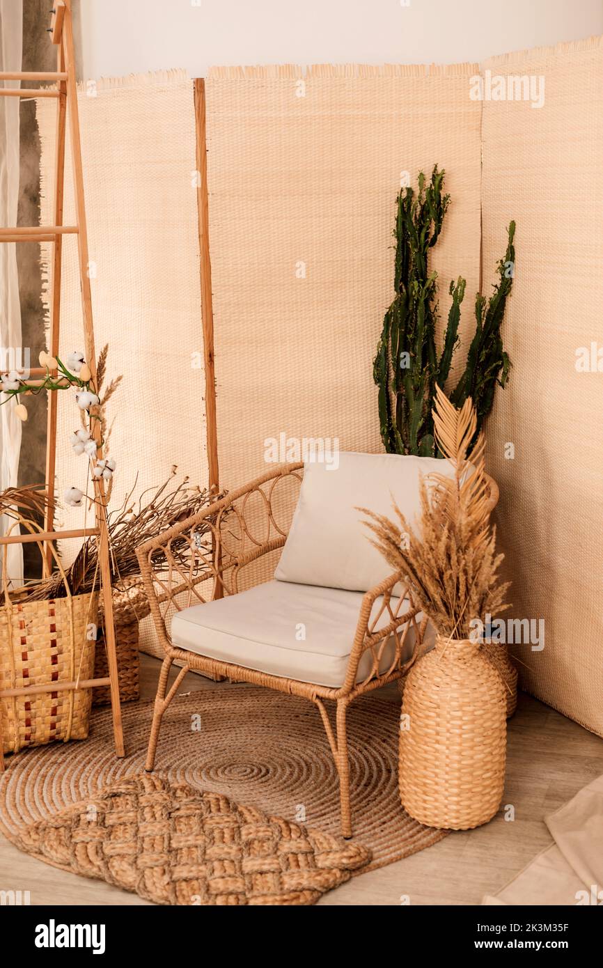 Moderne Einrichtung im Flur Sessel und Kaktus Stockfoto