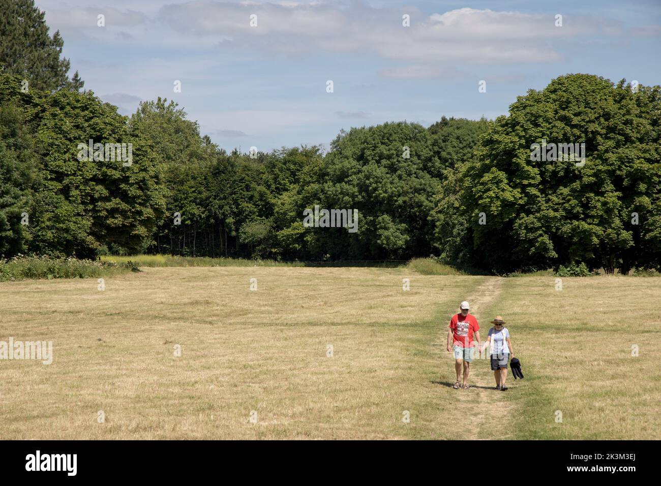 Paar, die über Newly Mown Castle Meadows, Abergavenny, Wales, Großbritannien, laufen Stockfoto