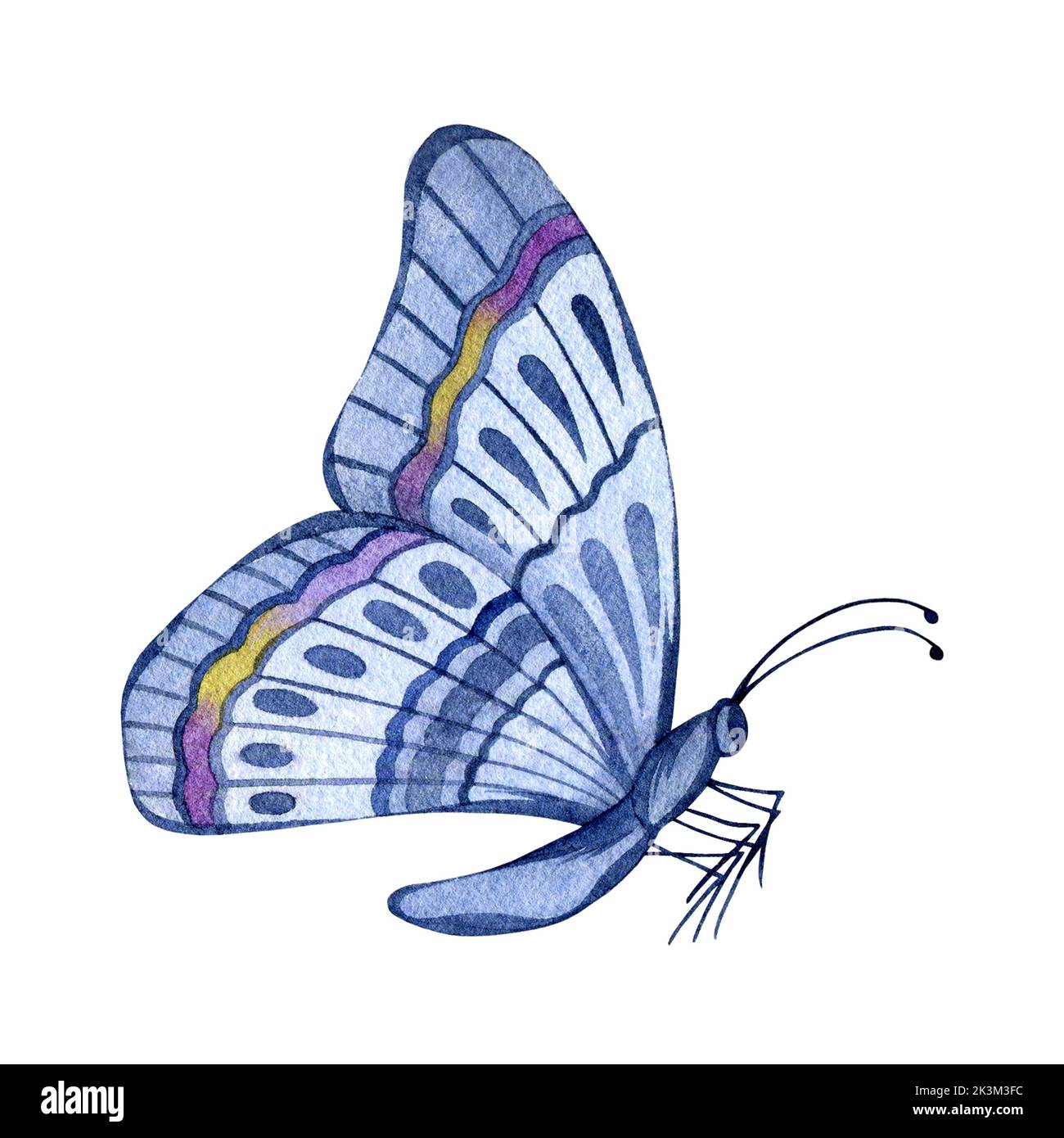 Aquarell Schmetterling Clip Art isoliert auf weißem Hintergrund. Handgezeichnete Insektendarstellung. Stockfoto