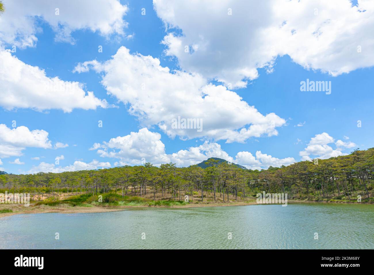 Wunderschöner See mit blauem Wasser, Kiefernwäldern und blauem Himmel in der Stadt da Lat, Lam Dong, Vietnam Stockfoto