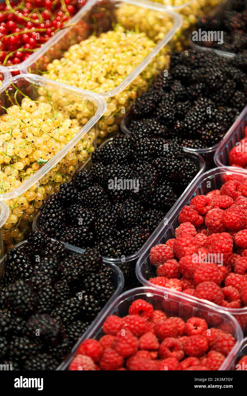 Bunte Mischung aus verschiedenen frischen Beeren auf dem Markt. Himbeeren, Brombeeren, Weißbeeren und rote Johannisbeeren Stockfoto