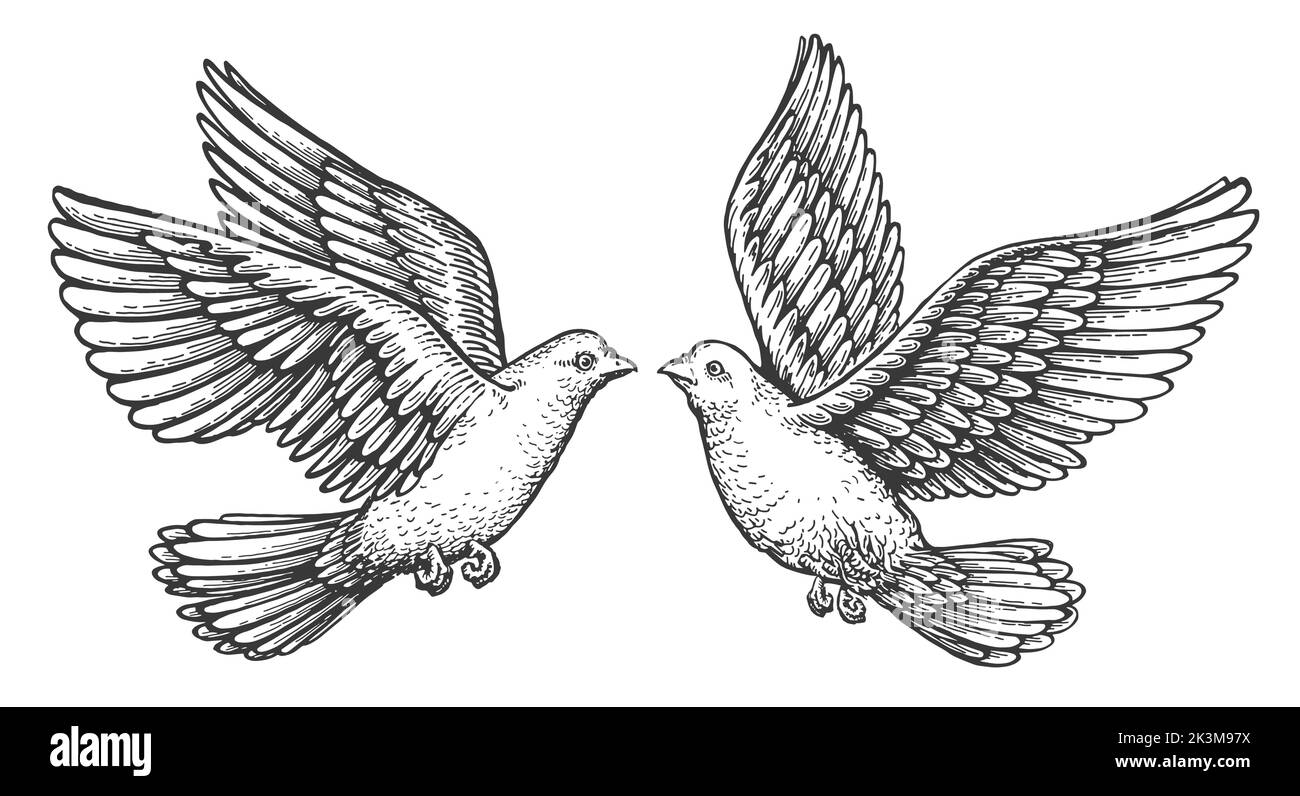 Ein Paar fliegende Tauben in der Liebe. Taube mit ausgebreiteten Flügeln. Vogeltier-Skizze. Handgezeichnete Vektor-Vintage-Illustration Stock Vektor