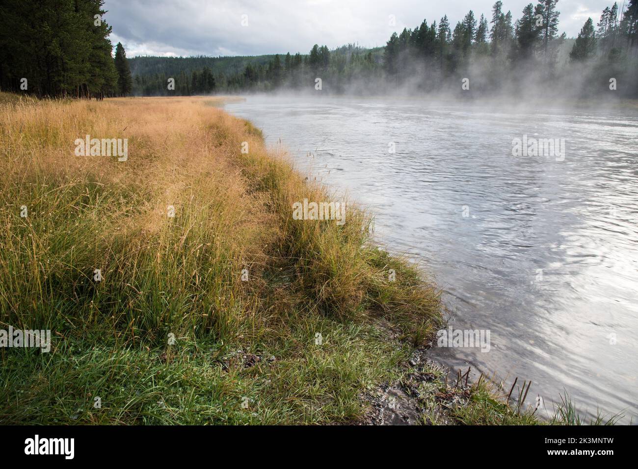 Malerischer Blick auf den berühmten Madison River im Yellowstone National Park. Stockfoto