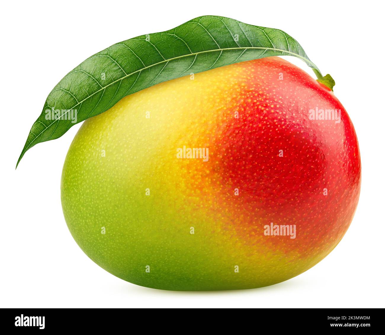 Mango auf weißem Hintergrund, Beschneidungspfade, volle Tiefenschärfe Stockfoto
