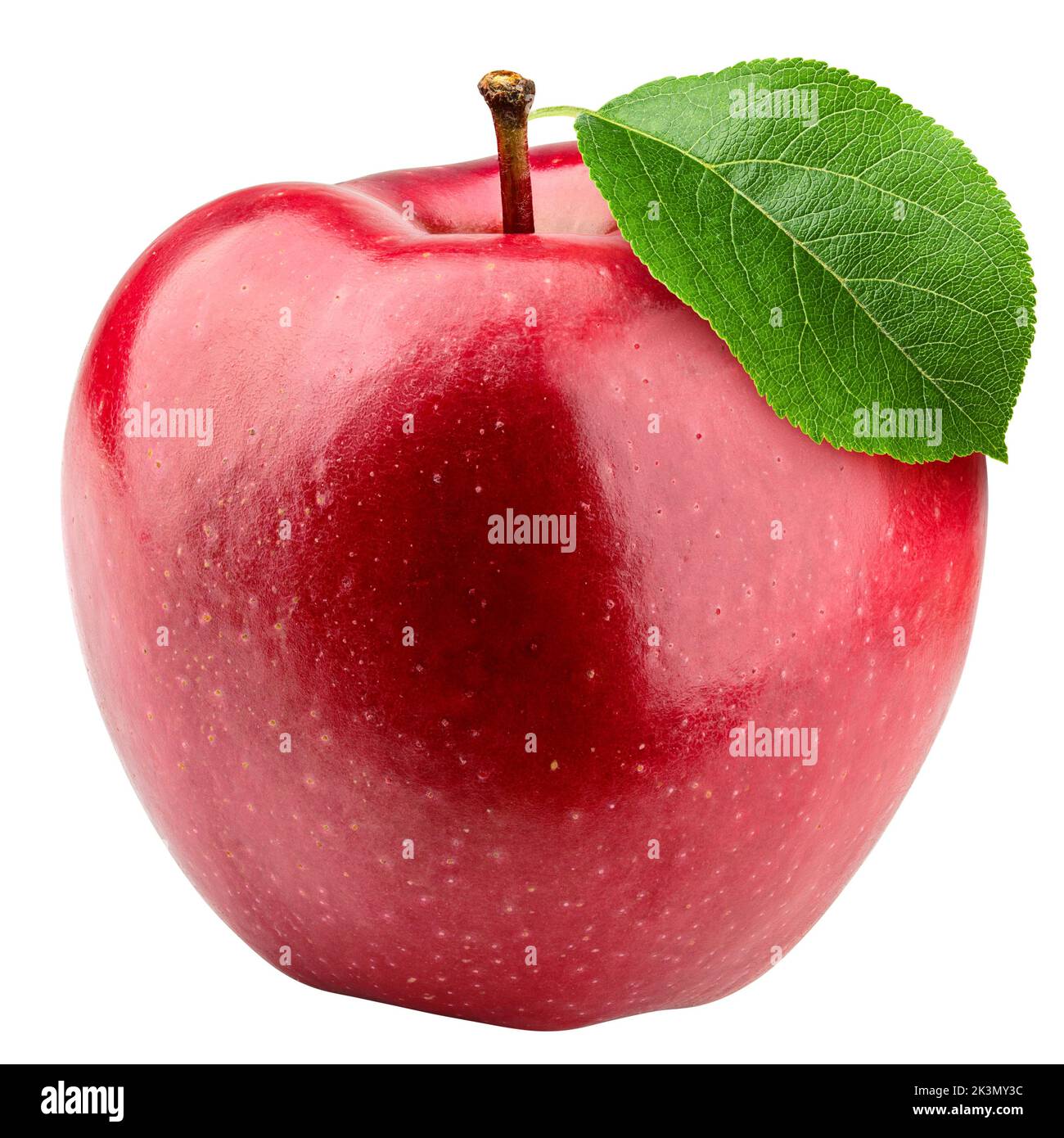 Roter Apfel isoliert auf weißem Hintergrund, Beschneidungspfad, volle Schärfentiefe Stockfoto