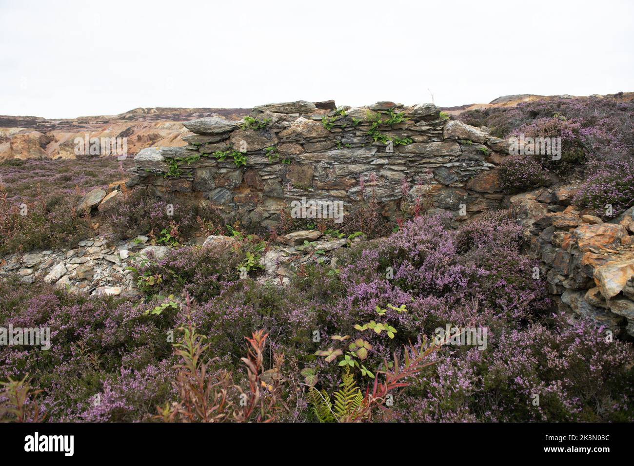 Parys Mountain, Nordwales Stockfoto