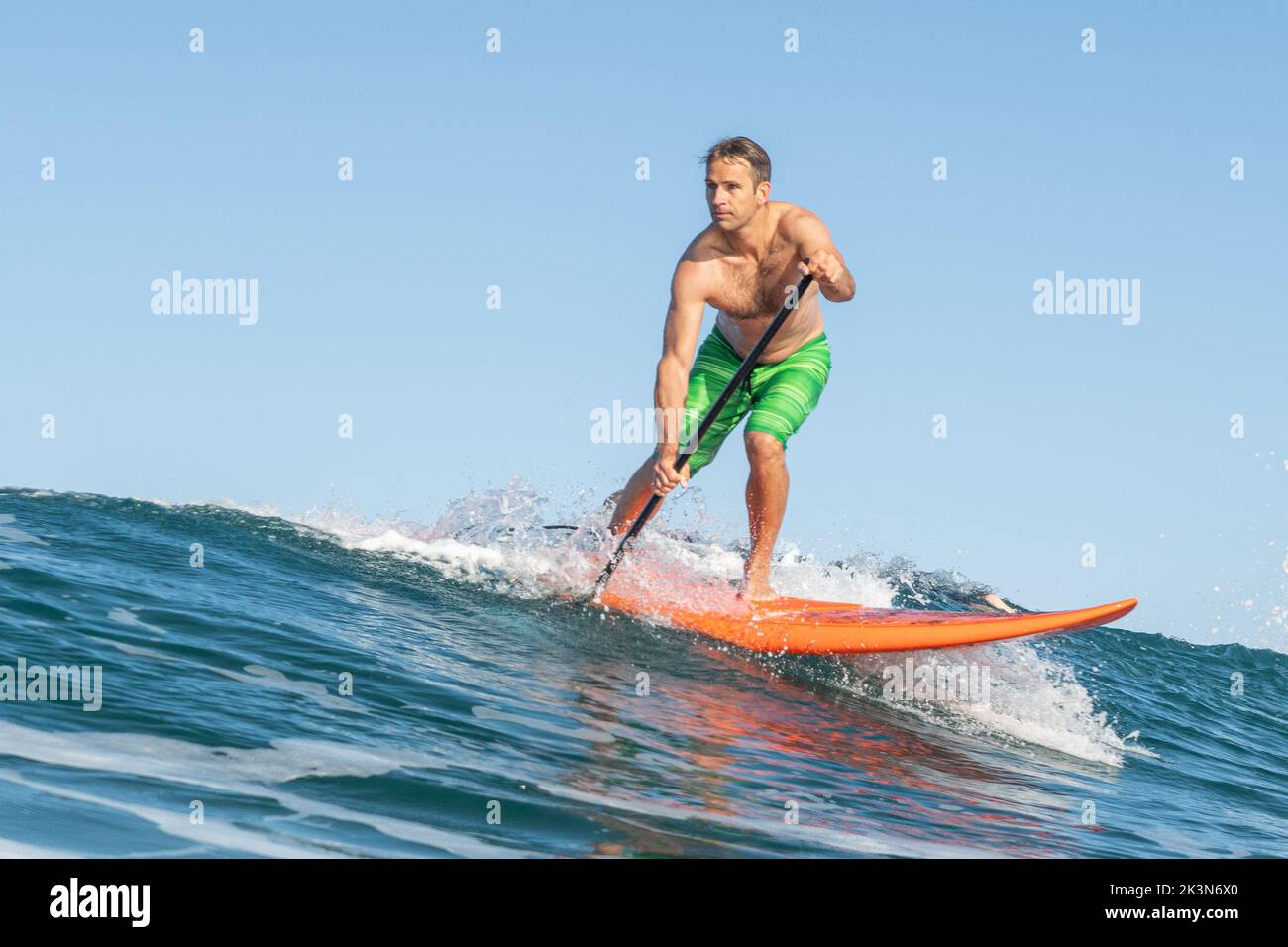 Ein junger Mann in Boardshorts reitet auf einem Paddelbrett am Piha Beach, Auckland, Neuseeland. Stockfoto