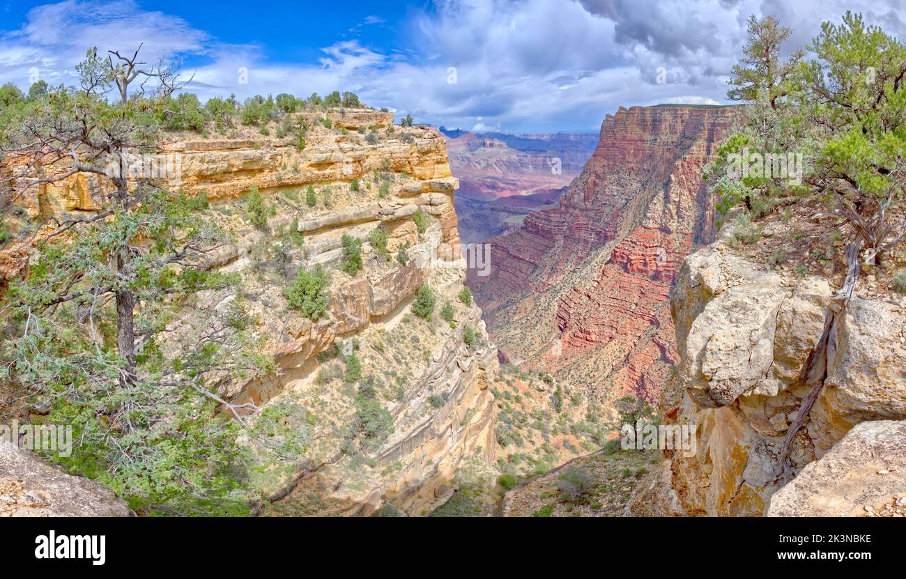 Blick auf den Grand Canyon vom Papago Creek Stockfoto