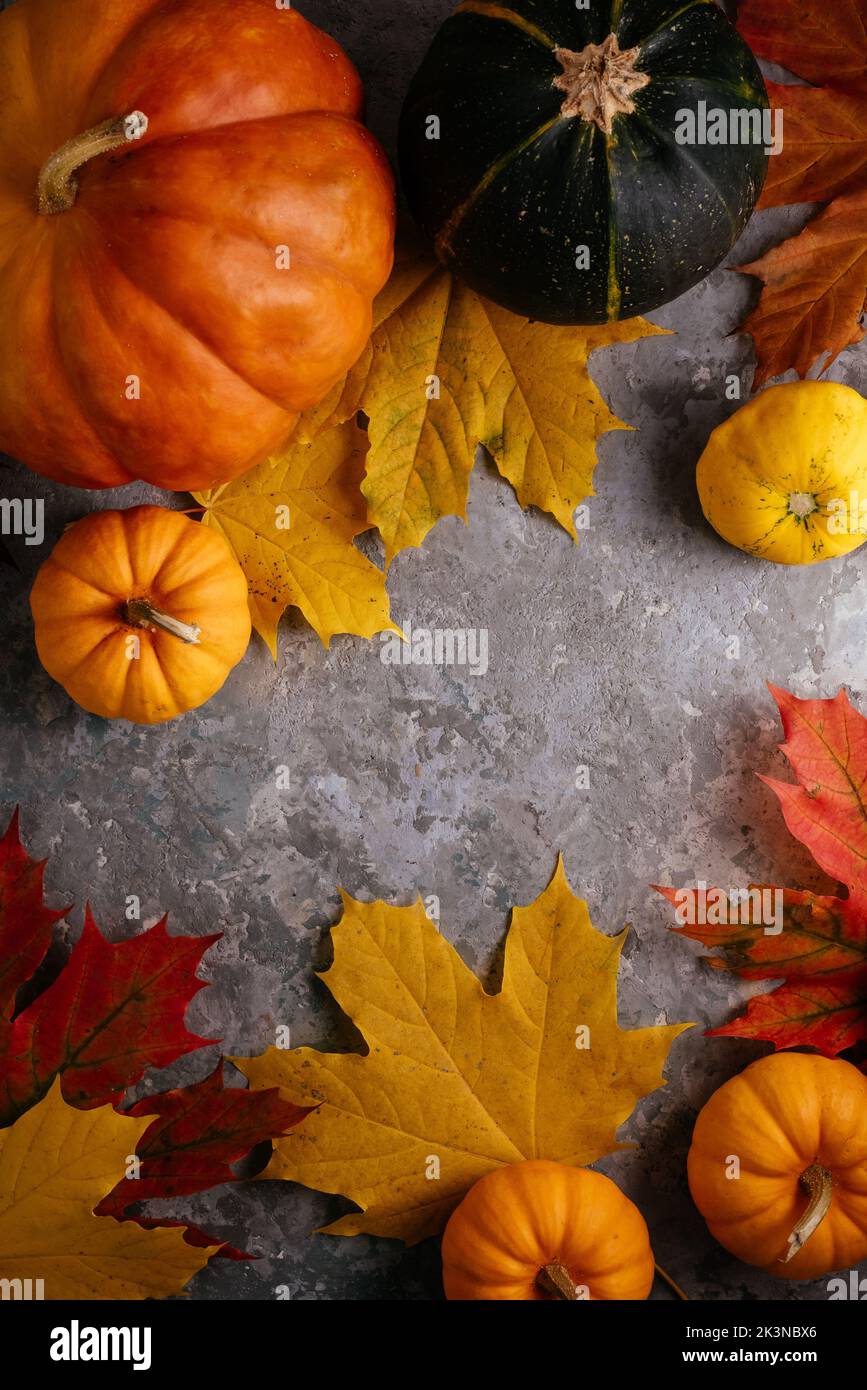 Herbstmockup mit Kürbissen und Blättern Stockfoto