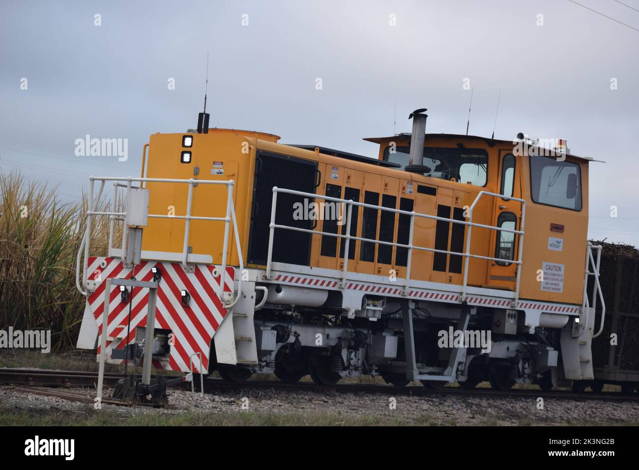 Zuckerrohranbau Stockfoto