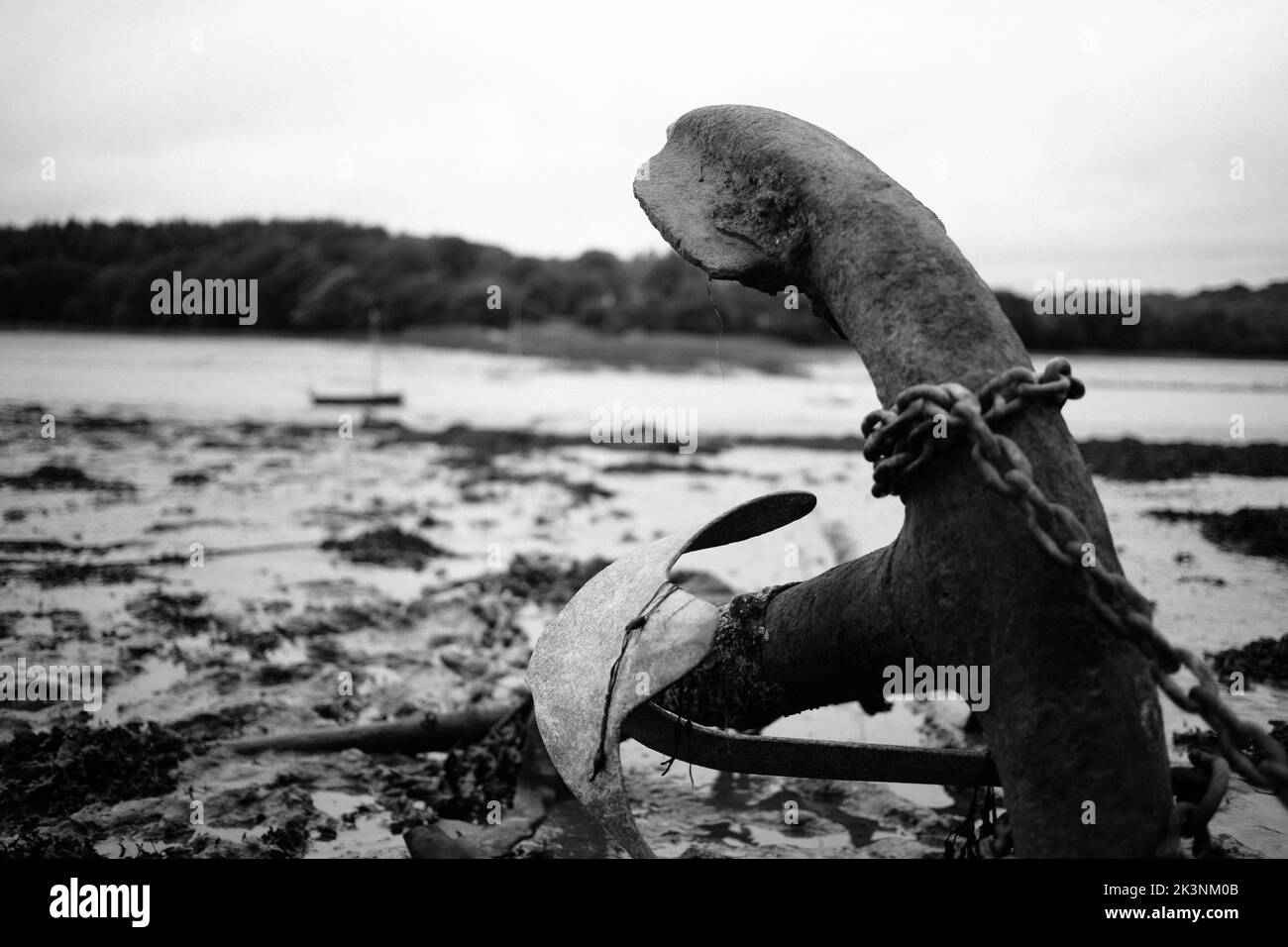 Eine Graustufenaufnahme eines rostigen Antik-Bootsankers, der im Schlamm entlang des Flusses stumpf Stockfoto