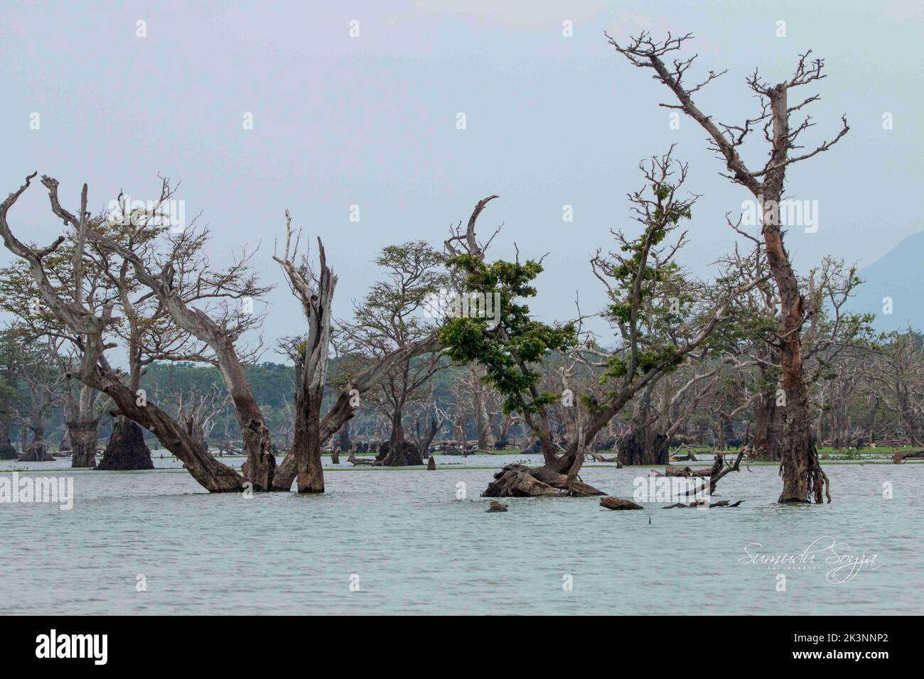 Schöne Landschaftsfotos in Sri Lanka. Besuchen Sie Sri Lanka Stockfoto