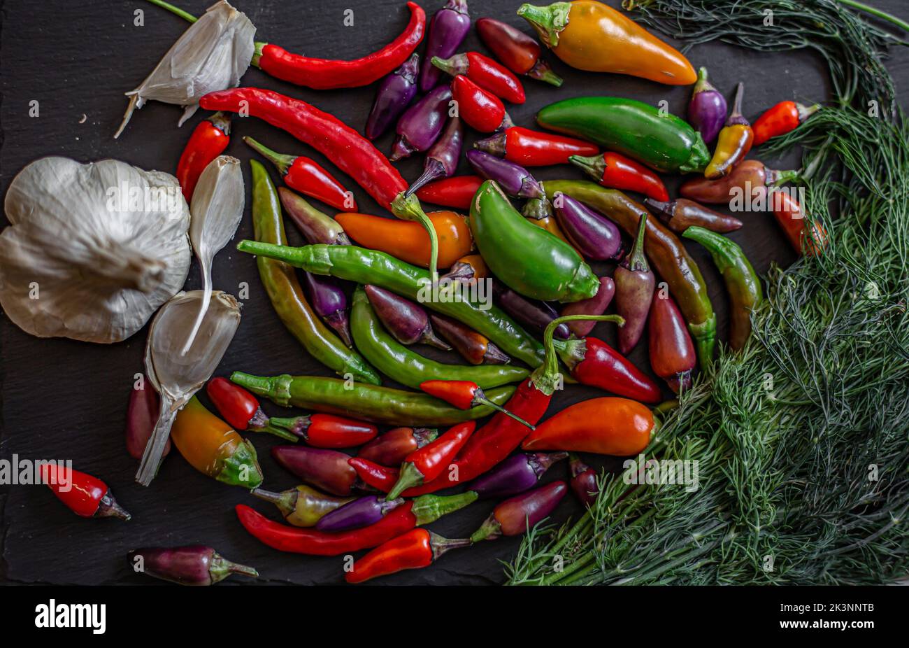 Zeit für eine feurige Gurke.Bunte Chilischoten und Gewürze. Auswahl an ...