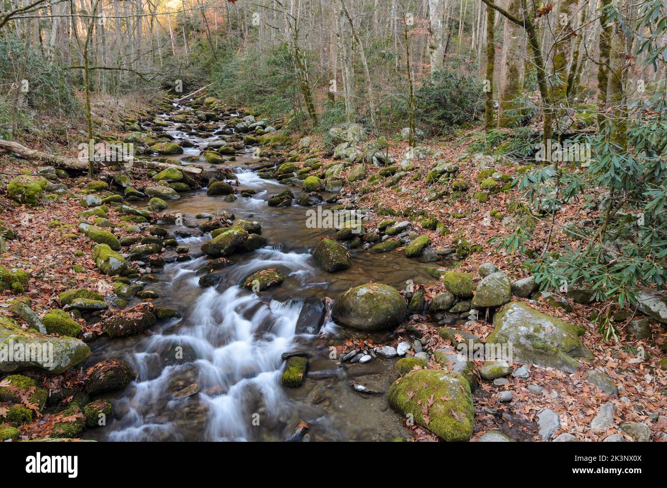 Der Roaring Fork Motor Nature Trail im Great Smoky Mountains National Park in Tennessee Stockfoto