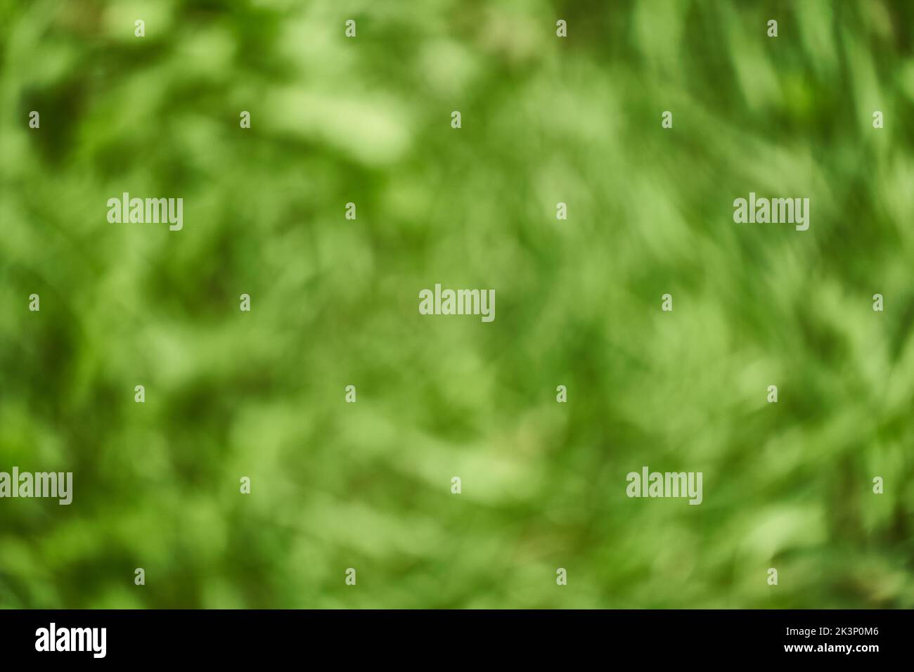 Verschwommener Hintergrund der Bokeh-Natur. Abstrakter natürlicher Hintergrund eines Parks oder Gartens. Weiches, unfokussiertes Gras mit Bokeh-Effekt. Hochwertige Fotos Stockfoto