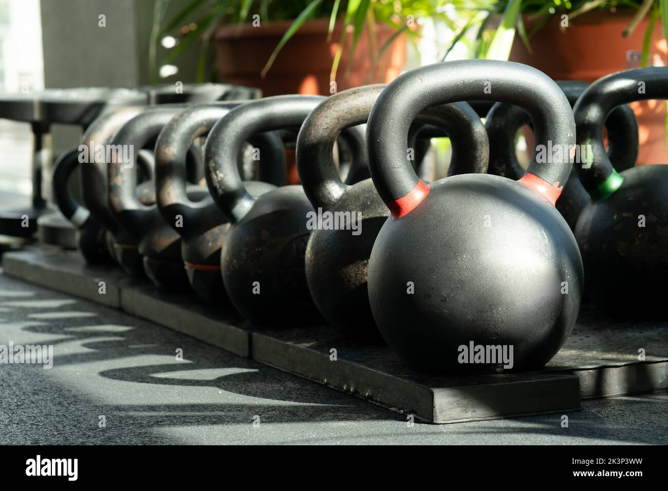 Gewicht Gesundheit Sport Fitness Übung Hintergrund Trainingskonzept Lifestyle, von weiblicher Ernährung aus Fett für Kurzhantel-Sportbekleidung, grüne Kraft Stockfoto