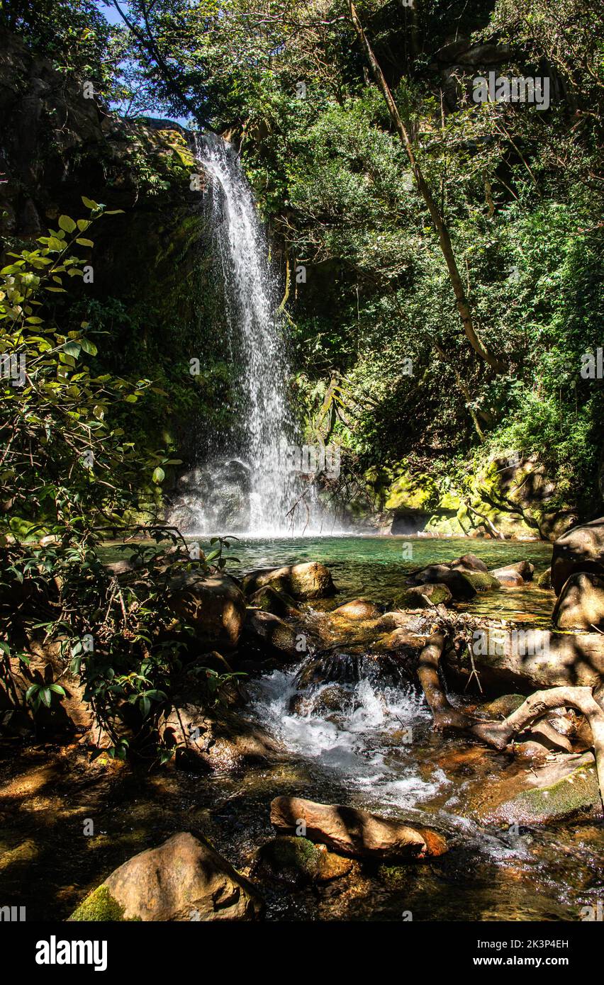Atemberaubender Pool am versteckten Wasserfall (Cataratas Escondido), Nationalpark Rincon de La Vieja, Guanacaste, Costa Rica Stockfoto