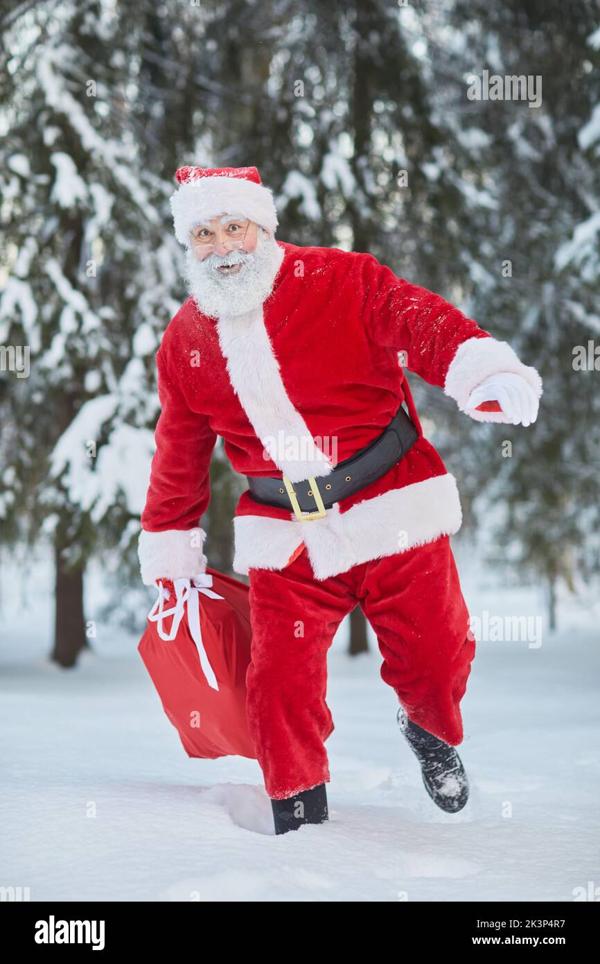 Vertikales Porträt des traditionellen Weihnachtsmannes mit Sack, Geschenken im Winterwald und der Kamera entgegen Stockfoto