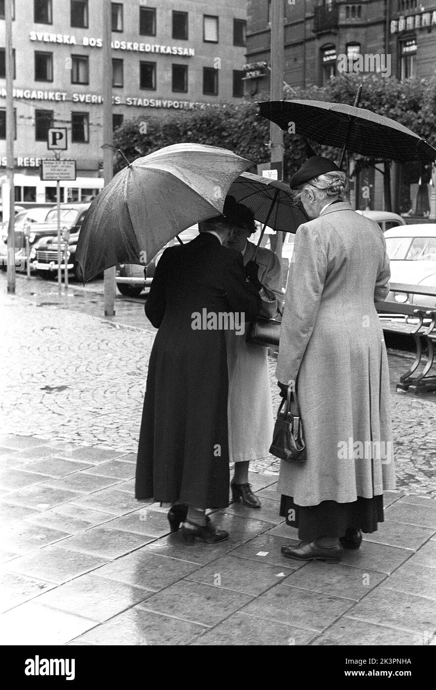 Schirme in der 1950s. Eine Gruppe älterer Frauen steht unter ihren Schirmen zusammen. Es ist ein regnerischer Tag in Stockholm Schweden 1953. ref 2A-1 Stockfoto