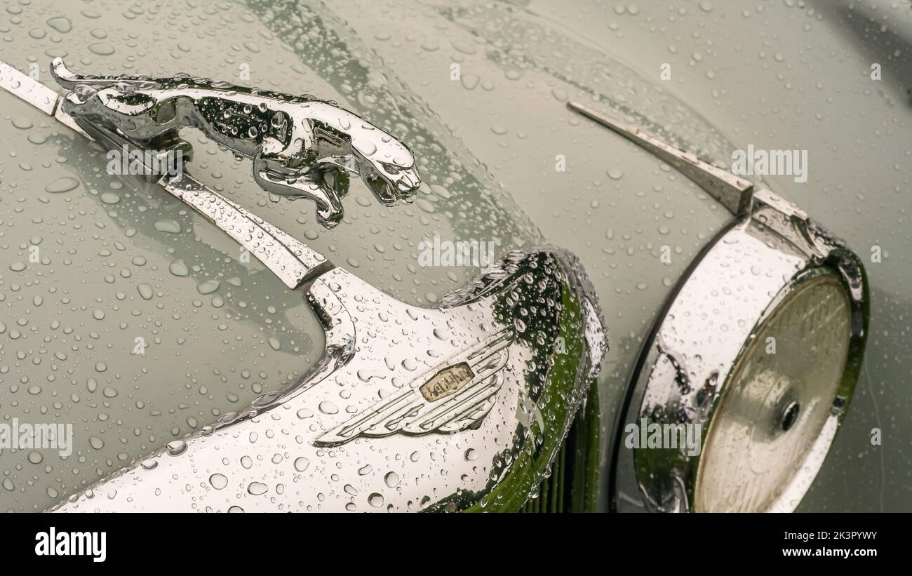 GROSSE POINTE SHORES, MI/USA - 17. JUNI 2019: Wasserstrahl auf einer 1959 Jaguar Mark IX Haubenverzierung, EyesOn Design Show, Edsel & Eleanor Ford House. Stockfoto