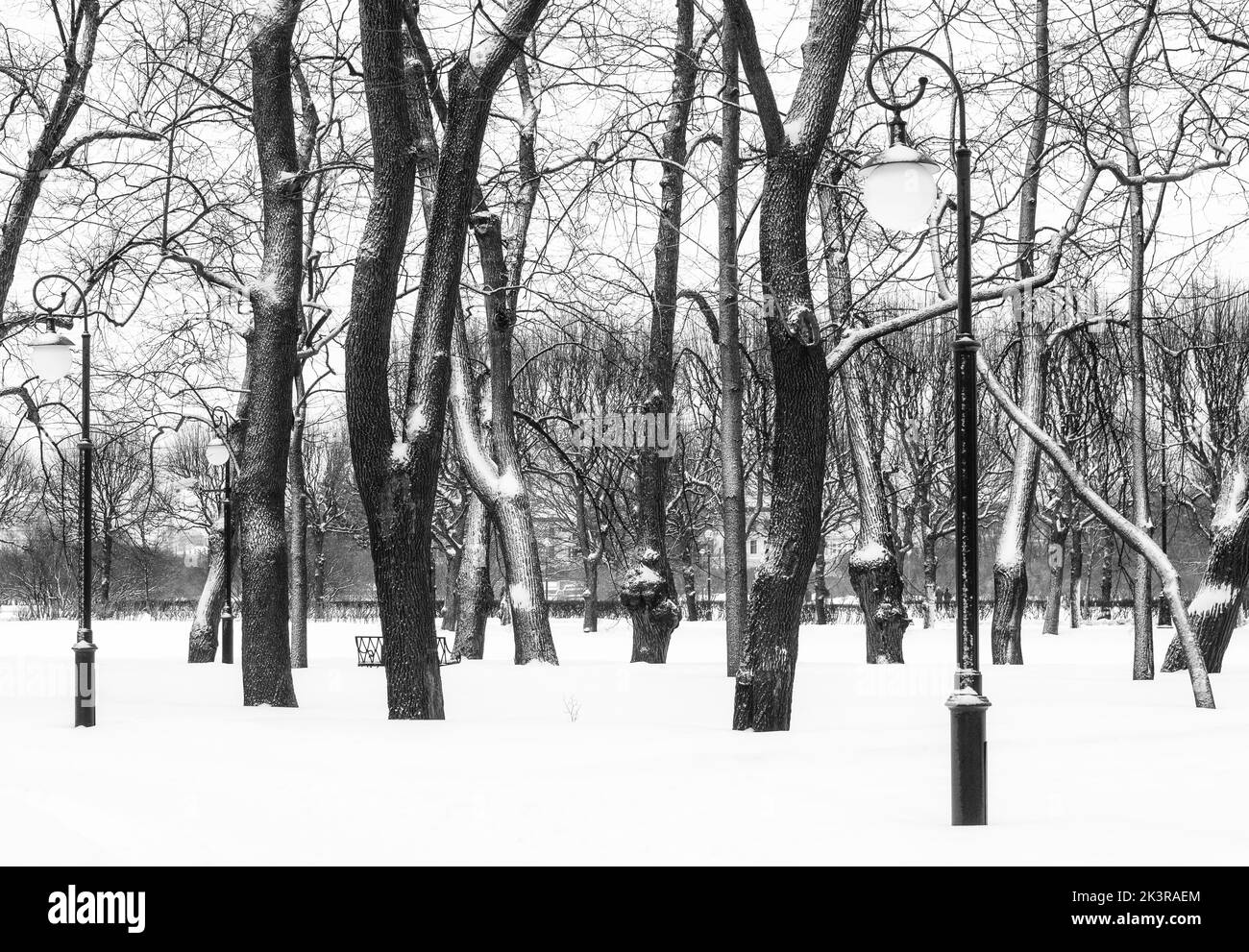 Winter im Mikhailovsky Garten (Mikhailovsky Sad), Sankt Petersburg, Russland Stockfoto