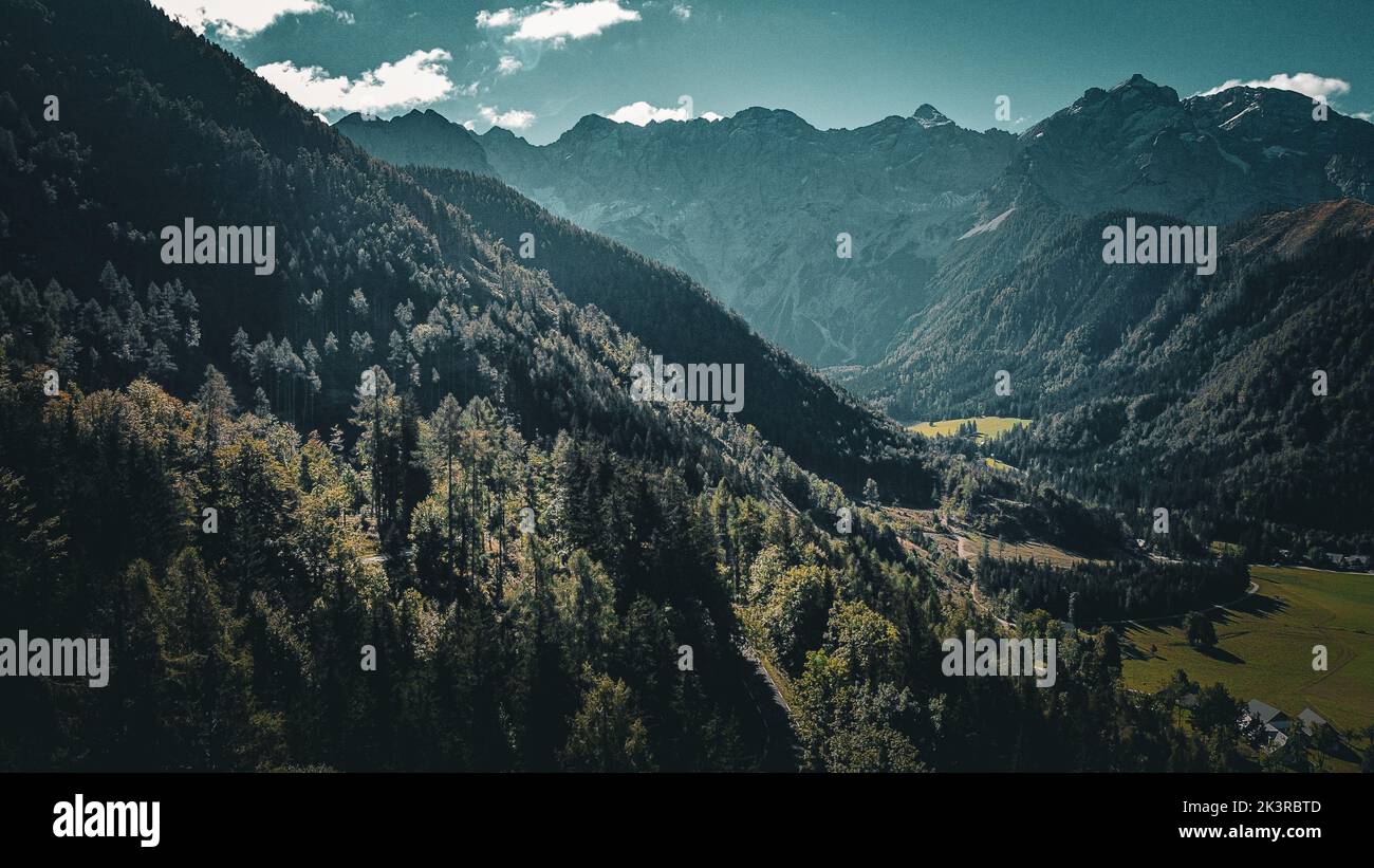 Bergblick in den Alpen, Österreich mit Bäumen Stockfoto