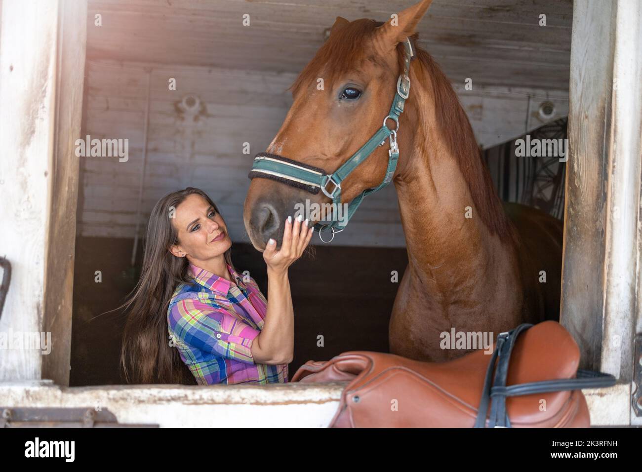 Junge Frau in einem Stall mit ihrem Pferd Stockfoto