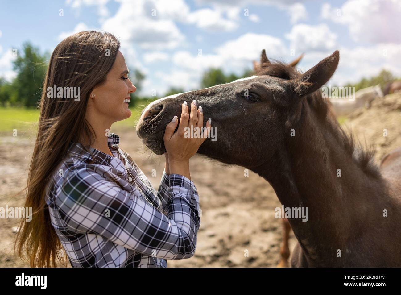 Junge Frau, die mit ihren Pferden auf dem Feld steht Stockfoto
