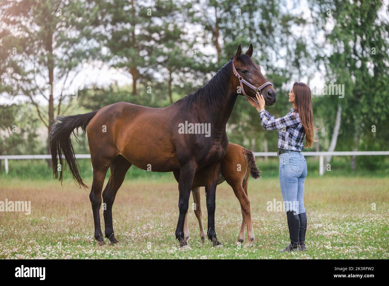 Junge Frau, die mit ihren Pferden auf dem Feld steht Stockfoto